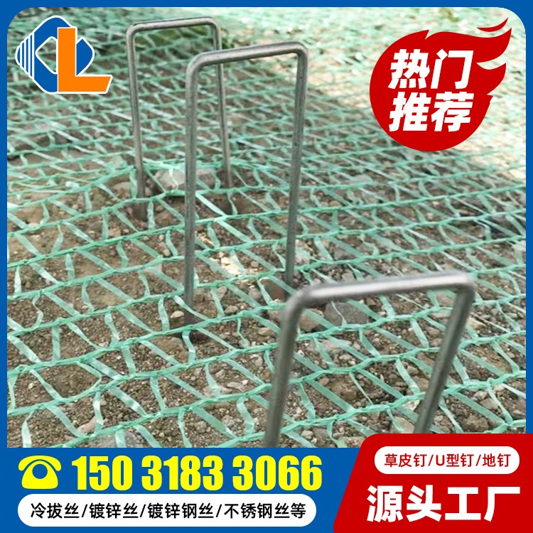 土工格柵草皮釘尺寸 U型錨釘價(jià)格 草坪釘廠家 地釘規(guī)格