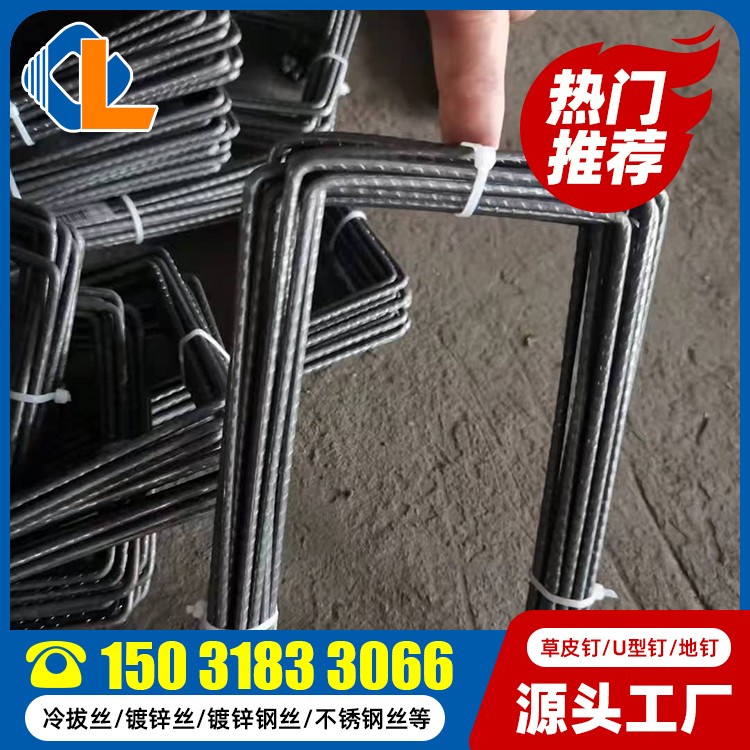 草坪釘固定土工格柵 20cm長(zhǎng)地釘 地釘規(guī)格 草皮固定釘